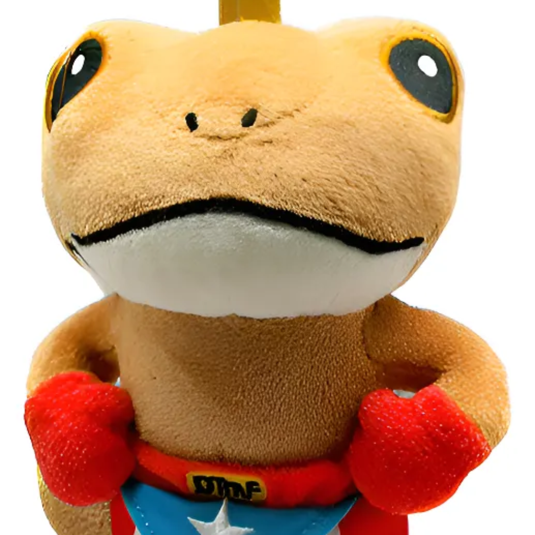 El Sapo Concho Boxeador